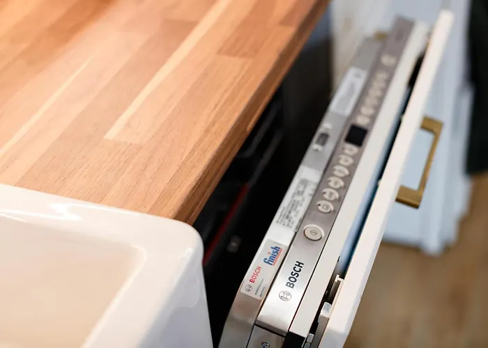 River View- Tiffany ティミショアラ